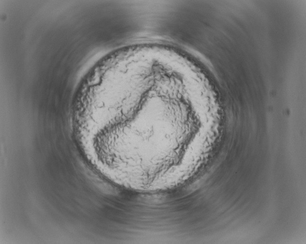 X0000076351415200610272108