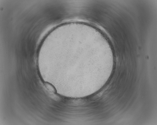 X0000076351416200610272108