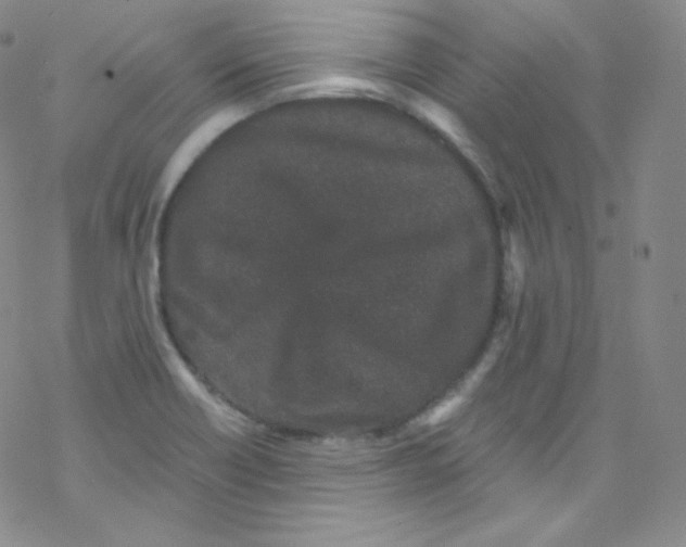 X0000076351418200610272108