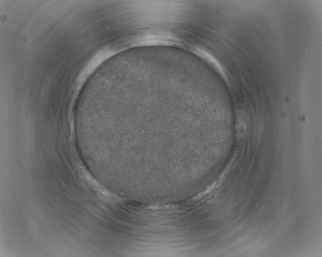 X0000076351419200610272108