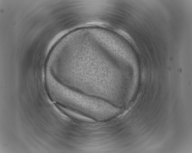 X0000076351420200610272108