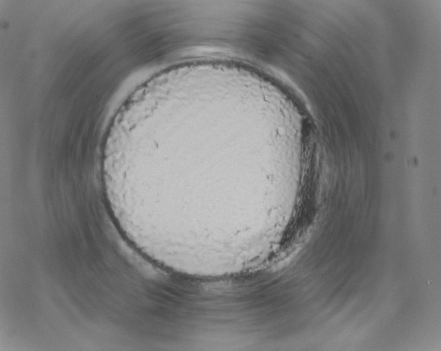 X0000076351421200610272108