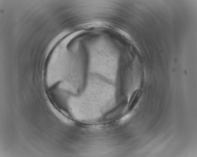 X0000076351426200610272109