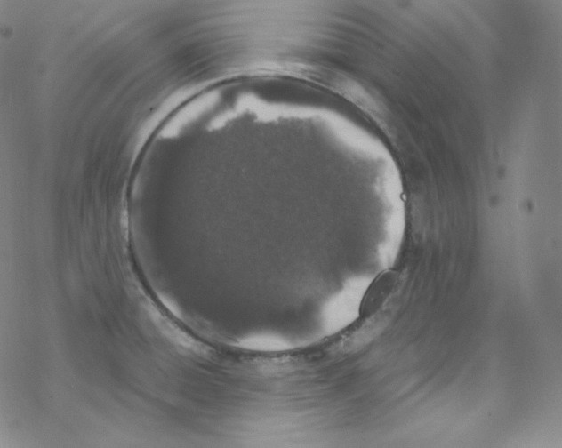 X0000076351428200610272109