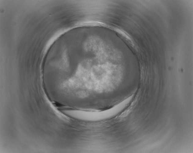 X0000076351430200610272109