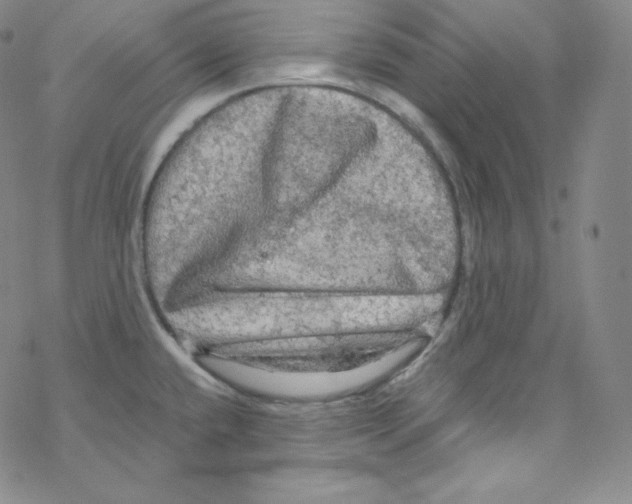 X0000076351432200610272109