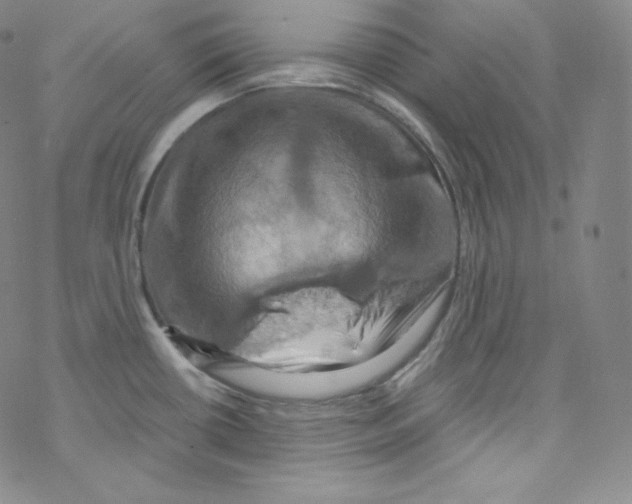 X0000076351434200610272109