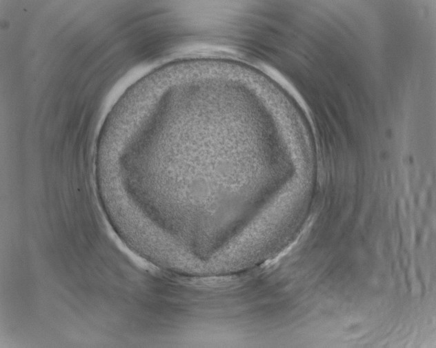 X0000076351437200610272109