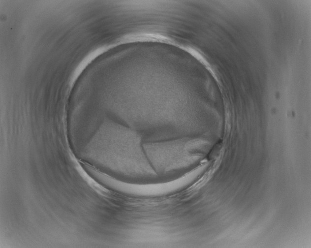 X0000076351438200610272109