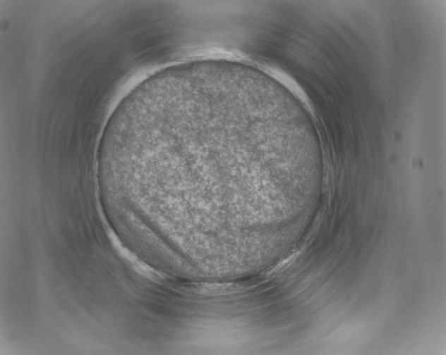 X0000076351439200610272109