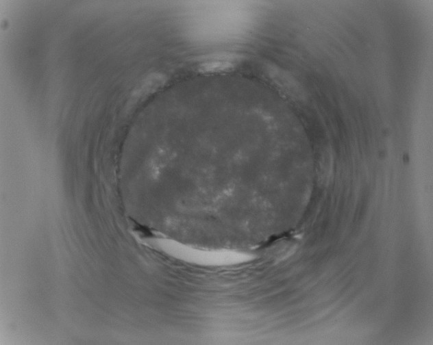 X0000076351441200610272108