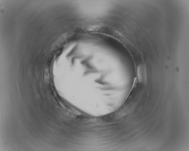 X0000076351443200610272108