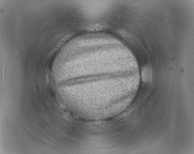 X0000076351444200610272108