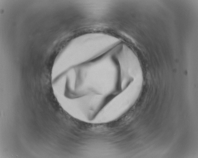 X0000076351447200610272108