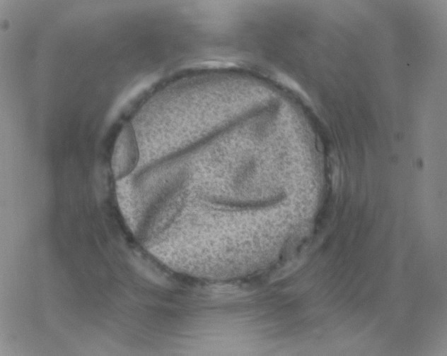 X0000076351448200610272108