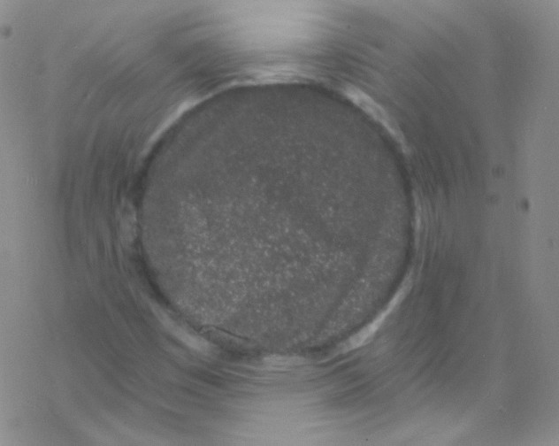 X0000076351449200610272108