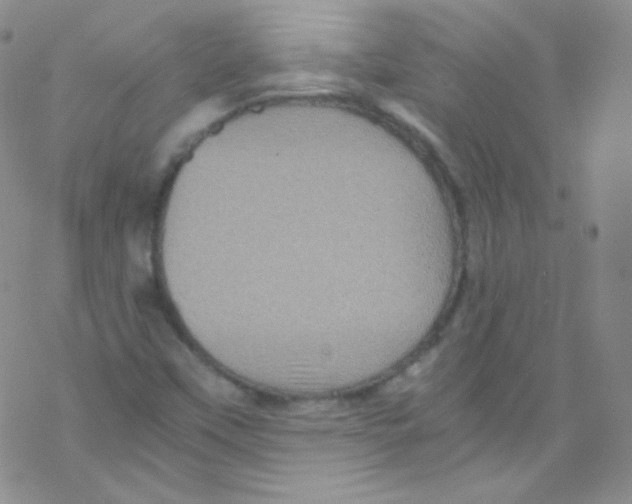 X0000076351451200610272108