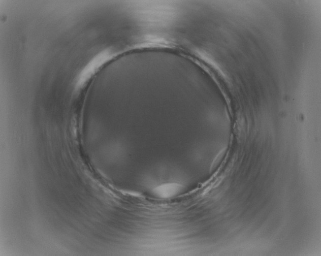 X0000076351455200610272108