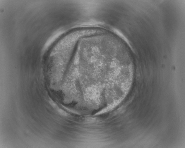 X0000076351456200610272108