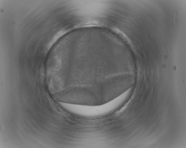 X0000076351457200610272108