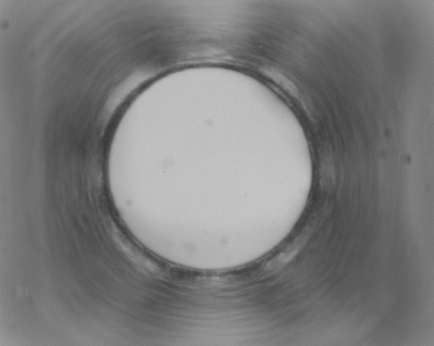 X0000076351458200610272108