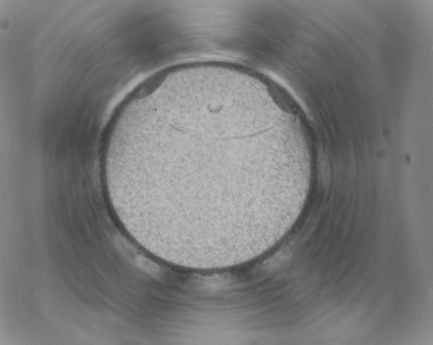 X0000076351460200610272108