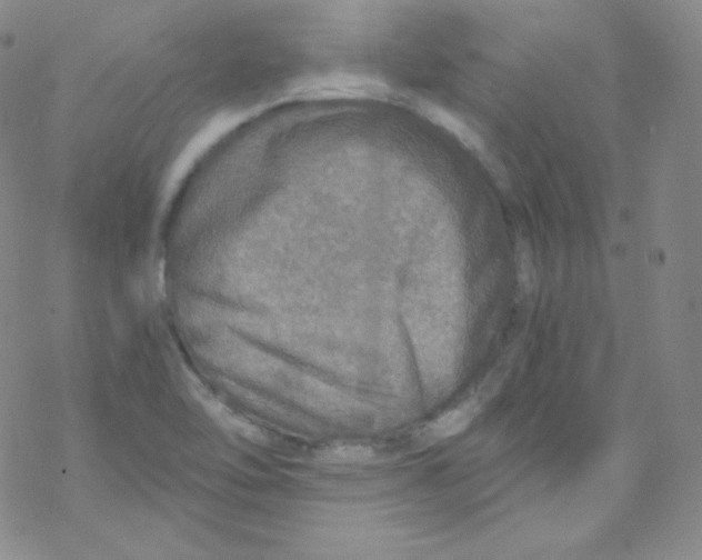 X0000076351462200610272108