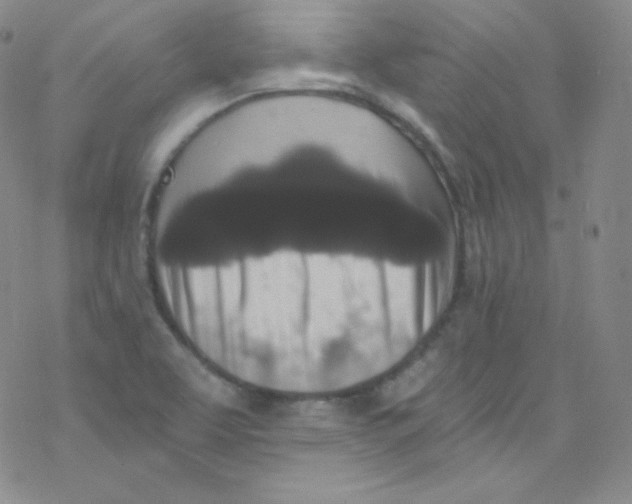 X0000076351463200610272108