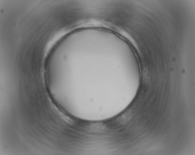 X0000076351464200610272108