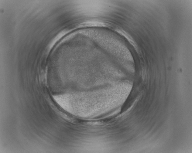 X0000076351465200610272108