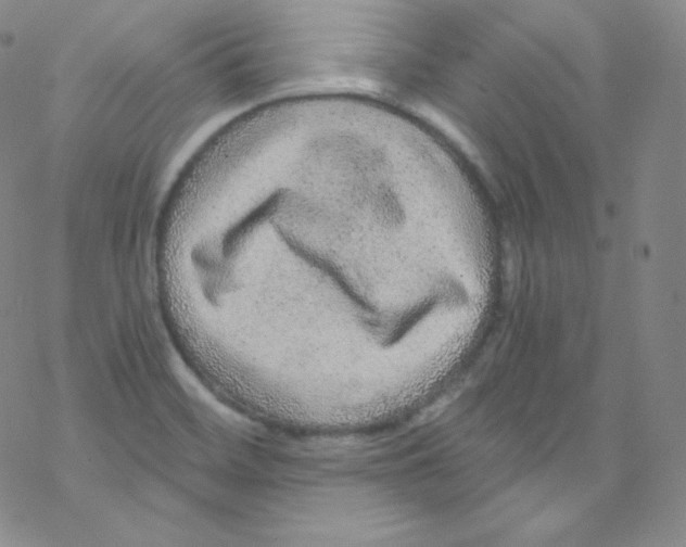 X0000076351468200610272108