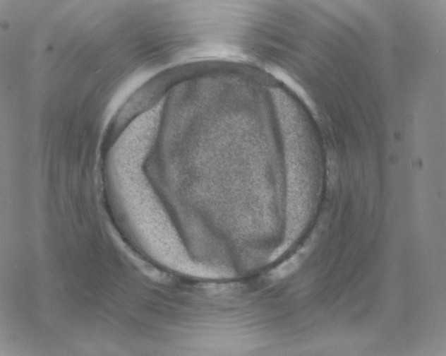 X0000076351469200610272108