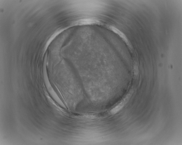 X0000076351473200610272107