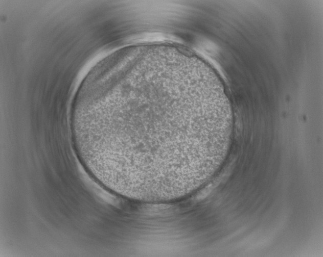 X0000076351475200610272107