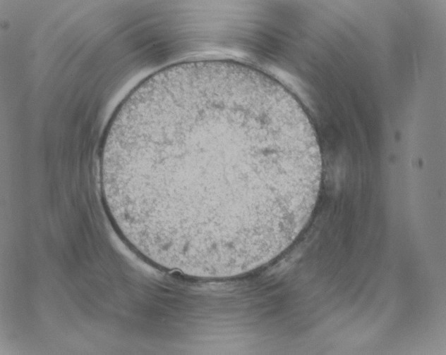 X0000076351476200610272107