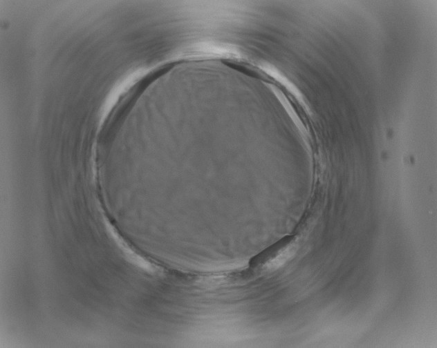 X0000076351477200610272107