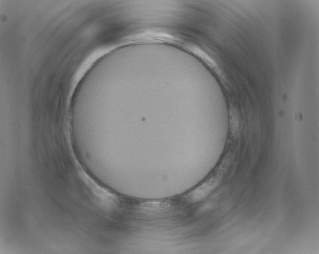 X0000076351478200610272107