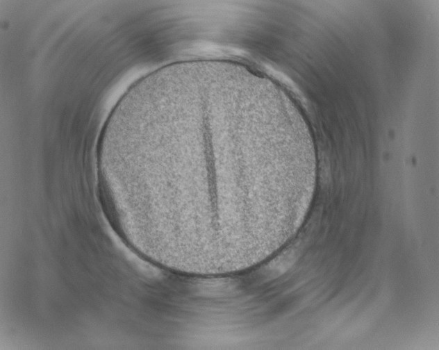 X0000076351479200610272107