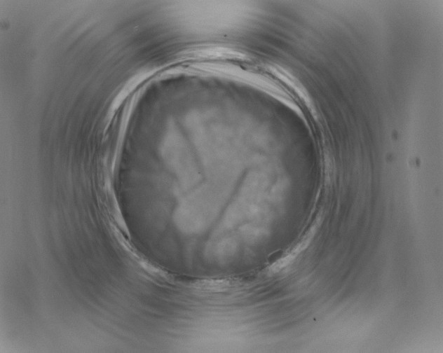 X0000076351481200610272107