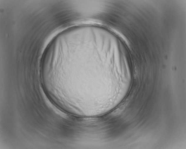 X0000076351483200610272107