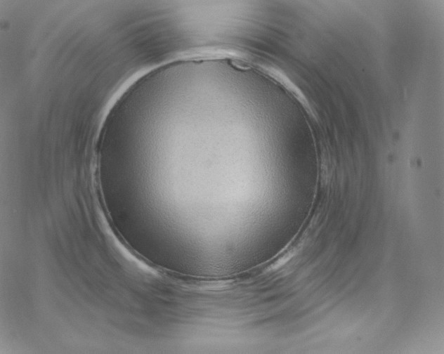 X0000076351484200610272107