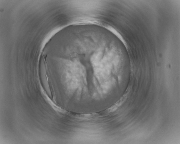 X0000076351485200610272107