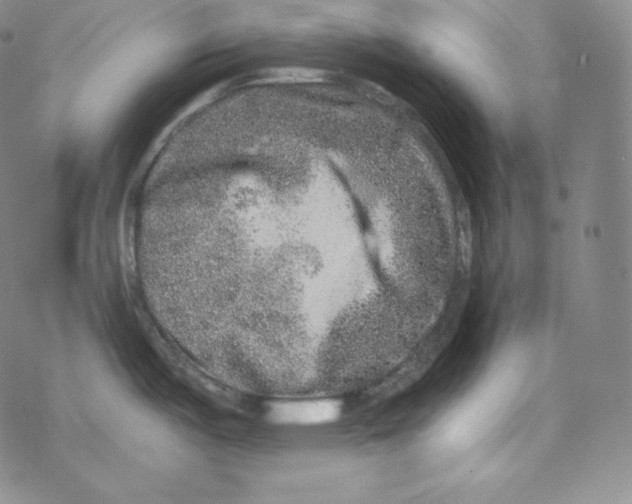 X0000076351487200610272107