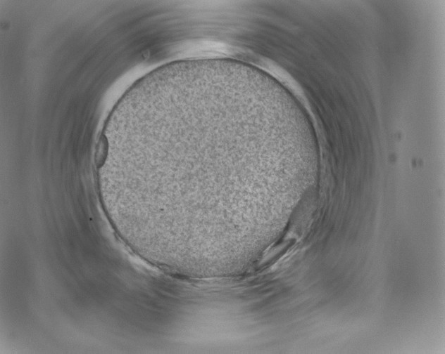 X0000076351488200610272107