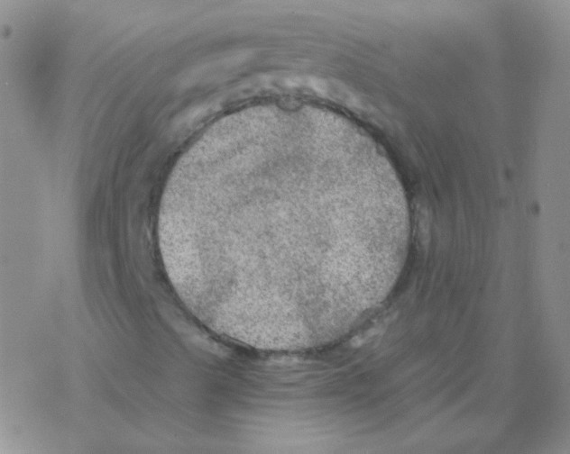 X0000076351489200610272106