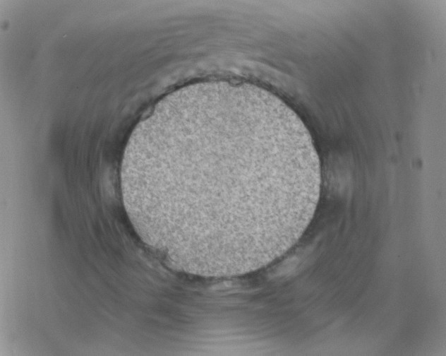 X0000076351490200610272106