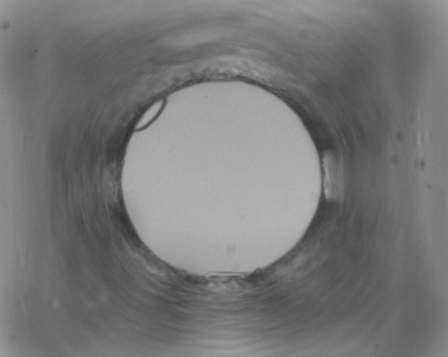 X0000076351491200610272106