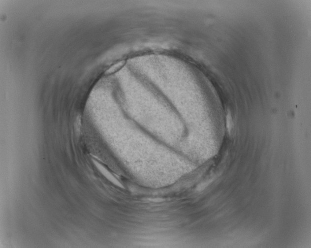 X0000076351492200610272107