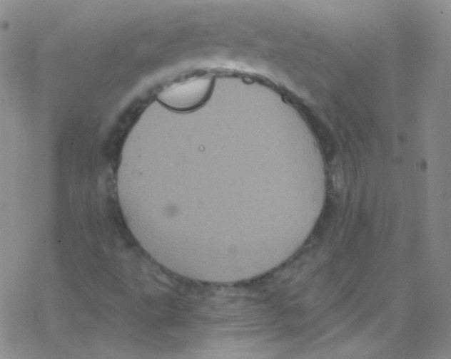 X0000076351495200610272107