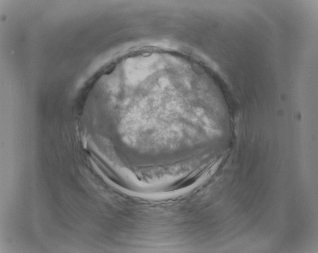 X0000076351496200610272107